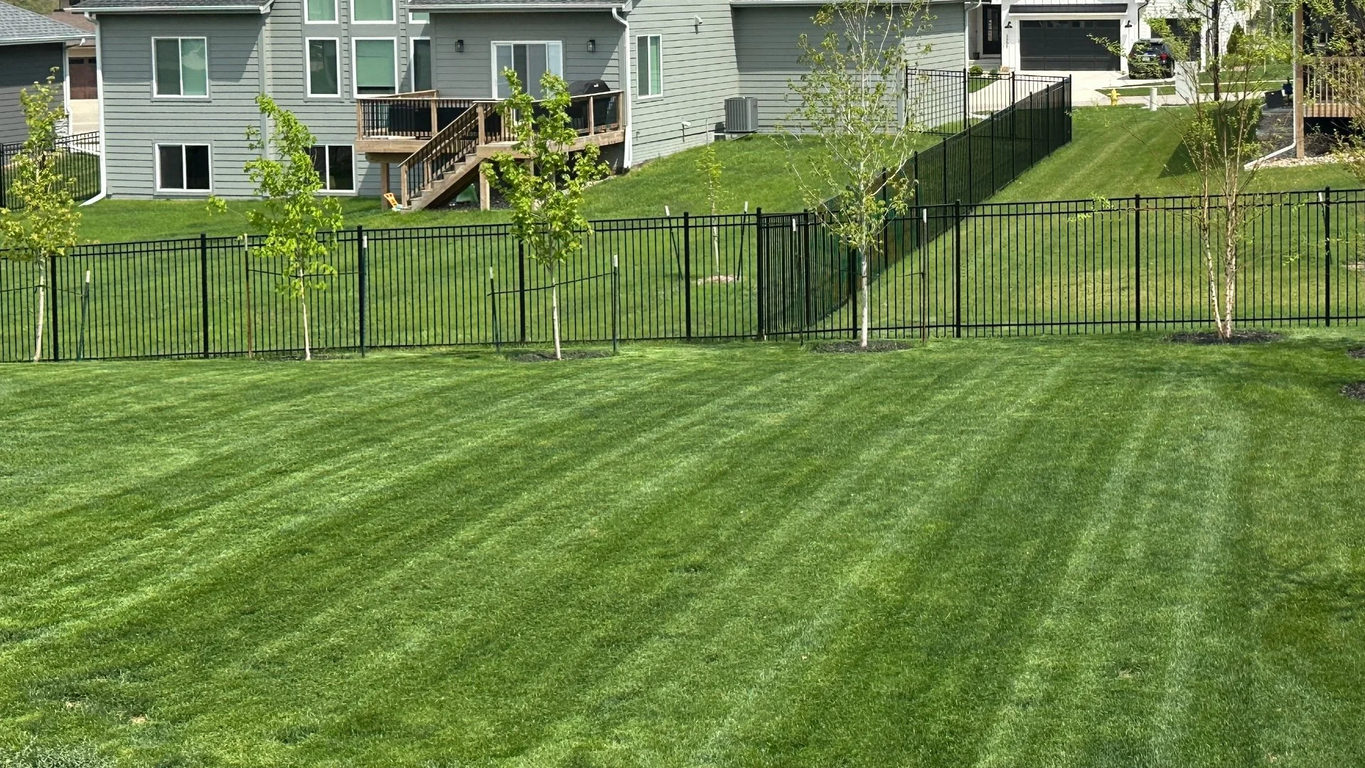 Does It Take a While for Fertilizers to Absorb Into Your Lawn?