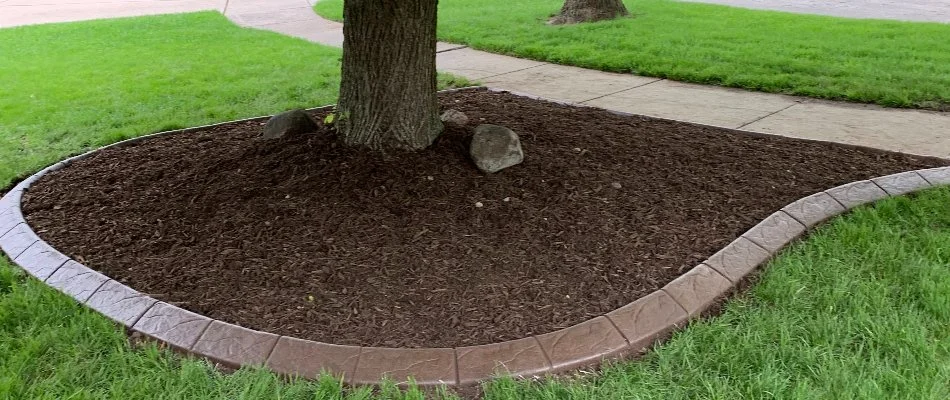 Landscape bed in Waukee, IA, with mulch and tree.