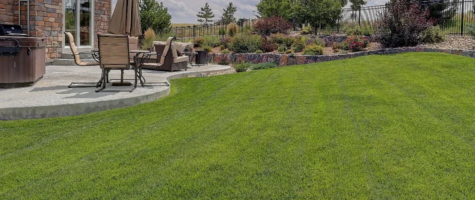 Patio in Waukee, IA, next to a lawn and some plants.