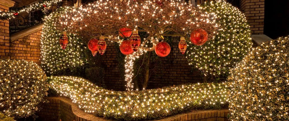 Shrubs in Waukee, IA, with holiday lights.