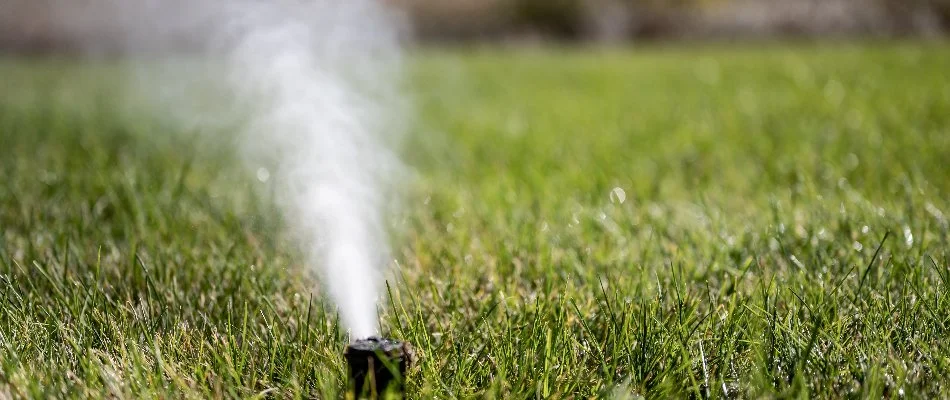 Air coming from a lawn sprinkler in Waukee, IA.