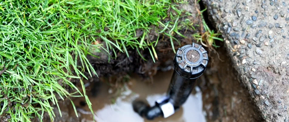 Broken sprinkler head in Waukee, IA, near grass with a puddle.