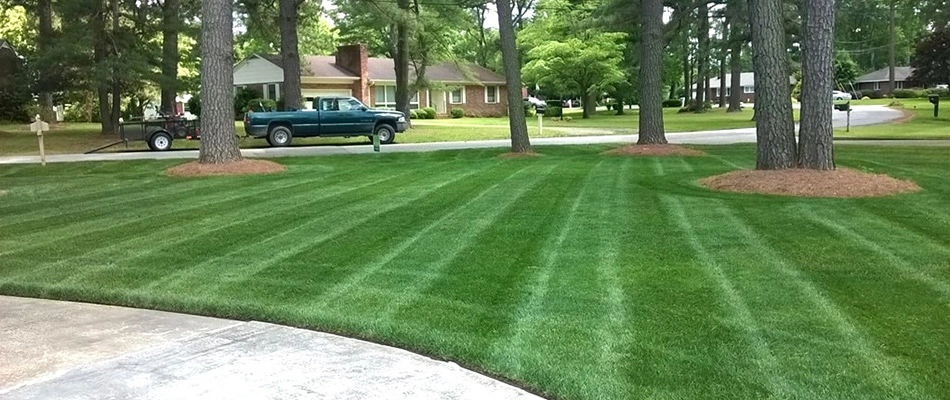 Serviced lawn in Urbandale, IA.