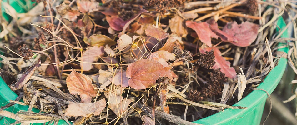 Debris in a bucket after spring cleanup in Ankeny, IA.