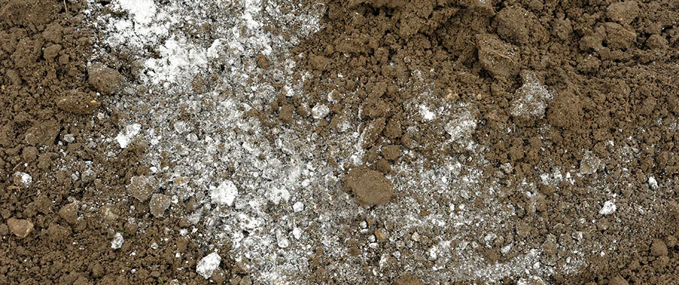 Lime added to a lawn's soil in Ankeny, IA.