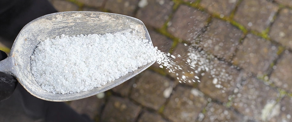 Salt being added to commercial property's walkways in West Des Moines, IA.